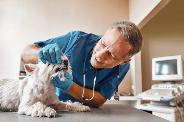 Best Emergency Root Canal Treatment in Woodstock, GA